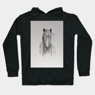 Horse Hoodie